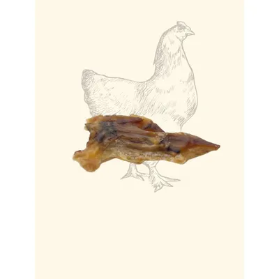 TRUFFE DÉLICE Wings de Poulet TRUFFE DÉLICE Wings de Poulet