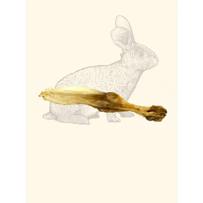 TRUFFE DÉLICE Oreilles de lapin TRUFFE DÉLICE Oreilles de lapin