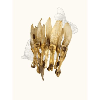TRUFFE DÉLICE Oreilles de lapin