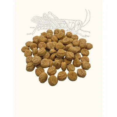 Friandises criquet & patate douce