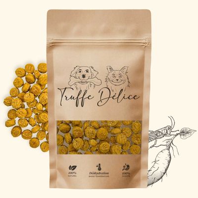 TRUFFE DÉLICE Friandises criquets