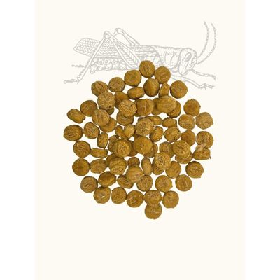 TRUFFE DÉLICE Friandises criquets