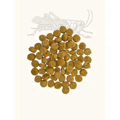 Friandises criquet & patate douce