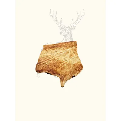 Truffe Délice Bois de daim