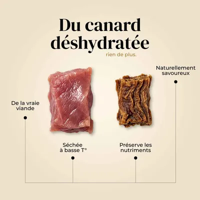 TRUFFE DÉLICE Friandises canard