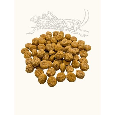 TRUFFE DÉLICE Coffret d'éducation insectes