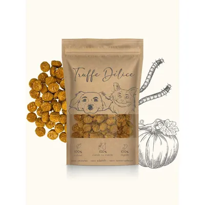 Coffret d'éducation insectes