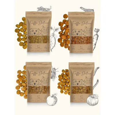 Coffret d'éducation insectes