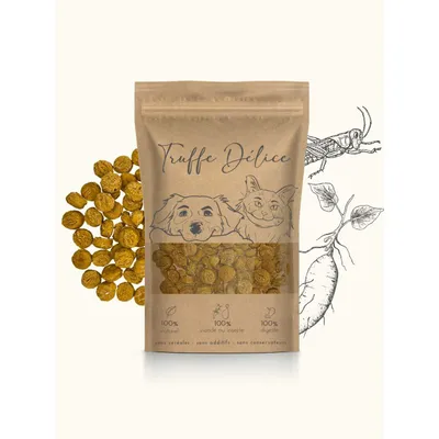TRUFFE DÉLICE Coffret d'éducation insectes