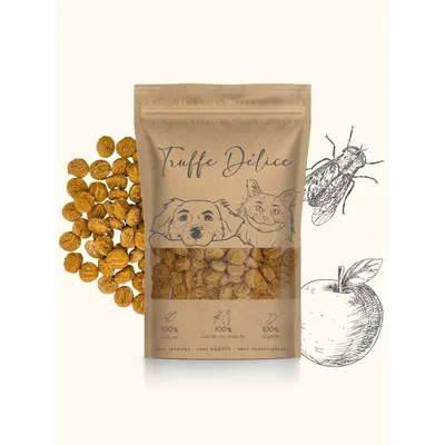 Coffret d'éducation insectes