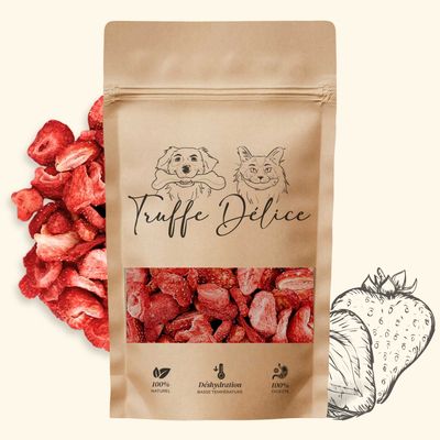 TRUFFE DÉLICE Fraise chien