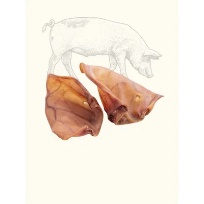 Oreilles de cochon XL