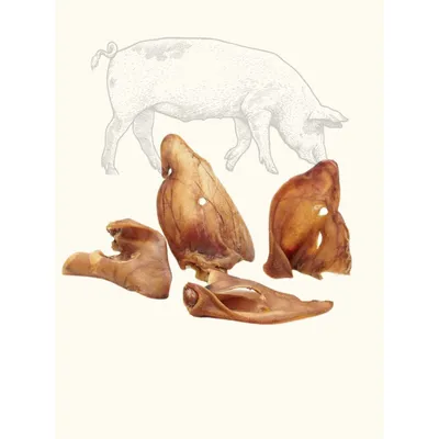 Oreilles de cochon XL