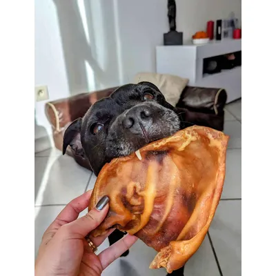 Oreilles de cochon XL