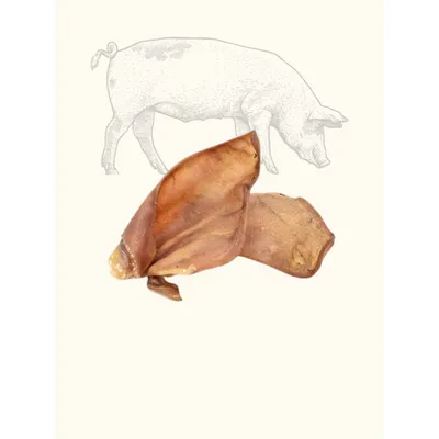 Oreilles de cochon XL