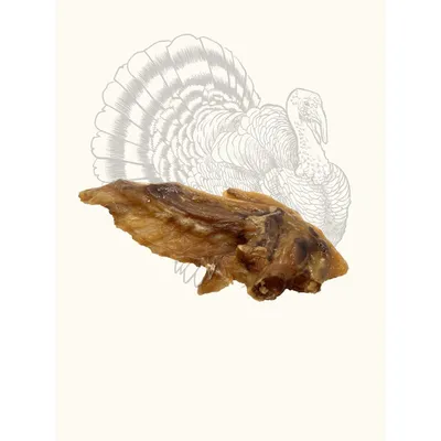 TRUFFE DÉLICE Wings de Dinde