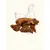 Filets de poulet