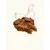 Filets de poulet
