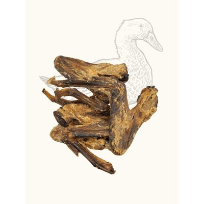TRUFFE DÉLICE Wings de Canard