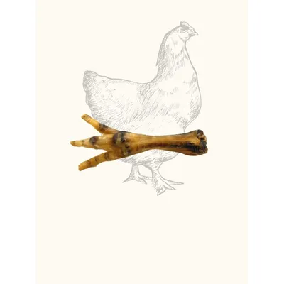 Pattes de poulet séchées