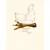 TRUFFE DÉLICE Pattes de poulet TRUFFE DÉLICE Pattes de poulet
