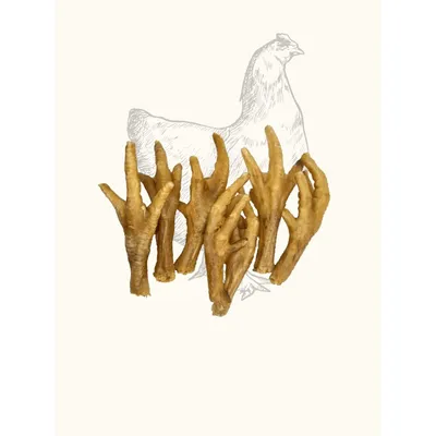 Pattes de poulet séchées