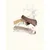 Truffe Délice Bois de cerf tranché chien Truffe Délice Bois de cerf tranché chien