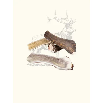 Truffe Délice Bois de cerf tranché chien Truffe Délice Bois de cerf tranché chien