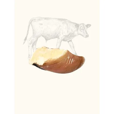 Truffe Délice Sabot de veau garni (lot) Truffe Délice Sabot de veau garni (lot)