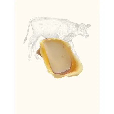 Truffe Délice Sabot de veau garni (lot) Truffe Délice Sabot de veau garni (lot)