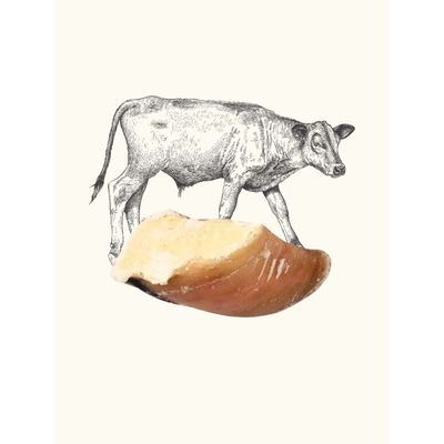 Truffe Délice Sabot de veau garni (lot)