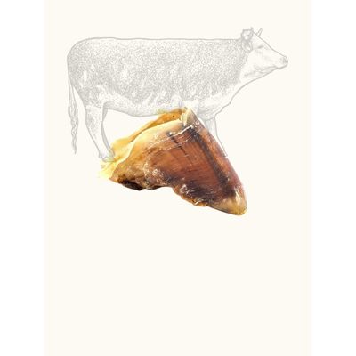TRUFFE DÉLICE Sabot de bœuf