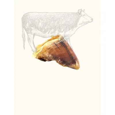 TRUFFE DÉLICE Sabot de bœuf