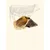 TRUFFE DÉLICE Sabot de bœuf