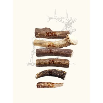 TRUFFE DÉLICE Bois de cerf chien