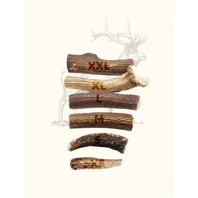 TRUFFE DÉLICE Bois de cerf chien TRUFFE DÉLICE Bois de cerf chien