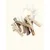 TRUFFE DÉLICE Bois de cerf chien TRUFFE DÉLICE Bois de cerf chien