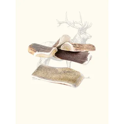 Truffe Délice Bois de cerf tranché chien Truffe Délice Bois de cerf tranché chien