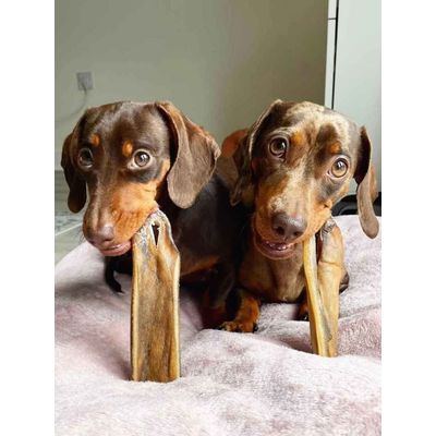 TRUFFE DÉLICE Peaux de sanglier