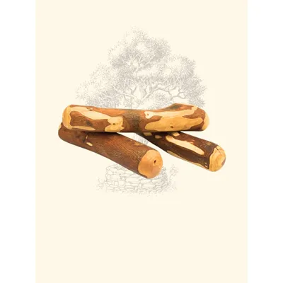 TRUFFE DÉLICE Bois d'olivier TRUFFE DÉLICE Bois d'olivier