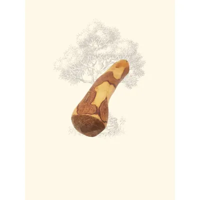 TRUFFE DÉLICE Bois d'olivier TRUFFE DÉLICE Bois d'olivier