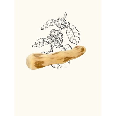 TRUFFE DÉLICE Bois de caféier