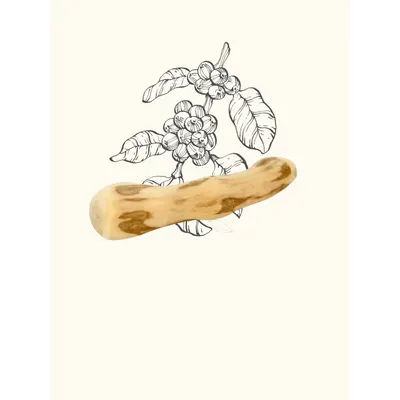 TRUFFE DÉLICE Bois de caféier