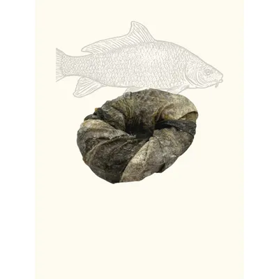 Anneaux de peaux de morue