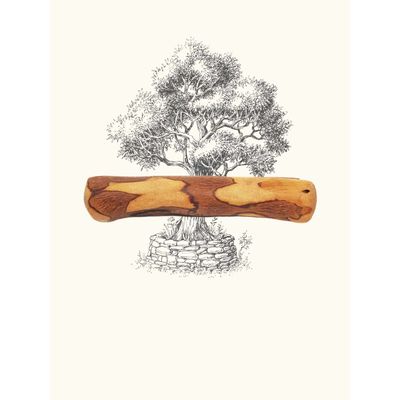 Truffe Délice Bois d’olivier