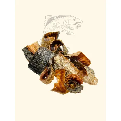 TRUFFE DÉLICE Morceaux de saumon à la chair fondante TRUFFE DÉLICE Morceaux de saumon à la chair fondante