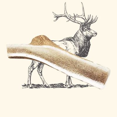 TRUFFE DÉLICE Bois de cerf tranché chien