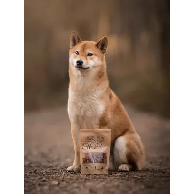 Friandises de saumon