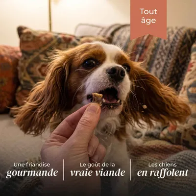 TRUFFE DÉLICE Friandises agneau TRUFFE DÉLICE Friandises agneau