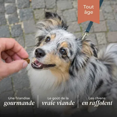 TRUFFE DÉLICE Friandises poulet TRUFFE DÉLICE Friandises poulet